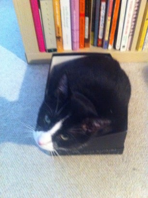 06944B4A-CBC5-46AB-9B17-50281C1C5A2D