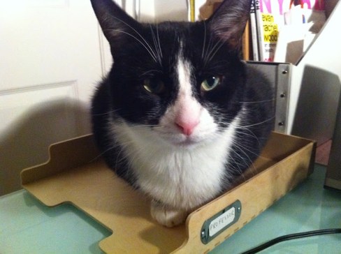 38DC05C2-BECA-4BC7-A6A1-05638571E6B6