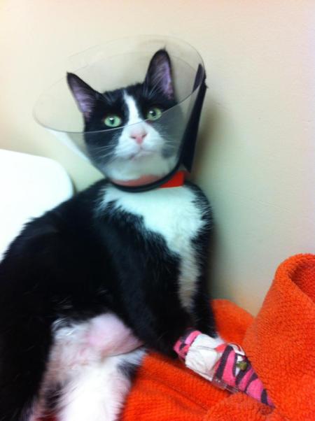 46530_10101479864915649_1176496648_n