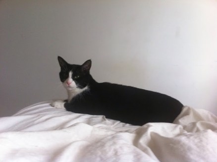 CA8D5CD9-E981-42EA-B7FA-61569D4C1E54