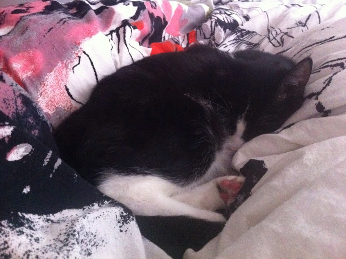 D0776251-F38F-41D8-A45F-0C6875C8B187